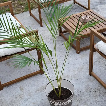 Casa de Férias Joe & Vera's