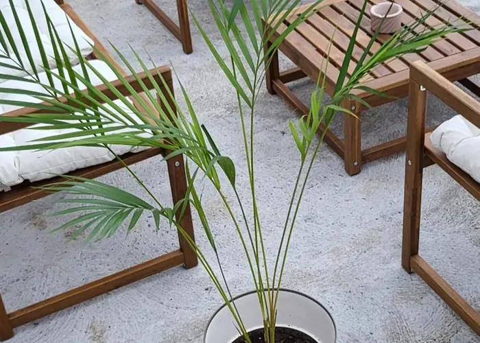 בית נופש Joe & Vera's